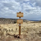 Old Reality Thinkers