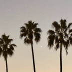 Thirty-Five Days in California